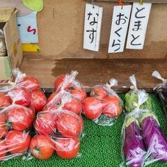 野菜　男爵始めました！の画像