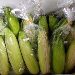 野菜　男爵始めました！の画像