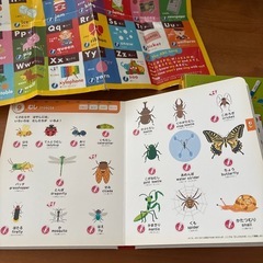 なまえずかんの画像