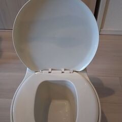 トイレ型おまるの画像