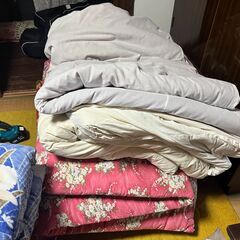 【法人・団体様向け・無料】布団・毛布など寝具一式 (約30組) 大量にお譲りしますの画像