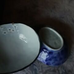 小判型　小皿5枚の画像