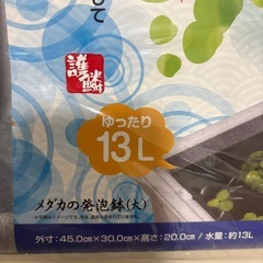 新品★メダカの発泡鉢　13Lの画像
