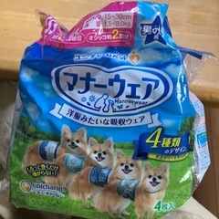 犬用　マナーウェアの画像