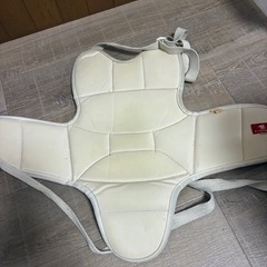 空手　プロテクターの画像