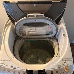Panasonic☆洗濯機の画像