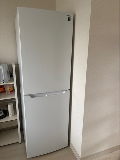 2024年製 SHARP 冷蔵庫