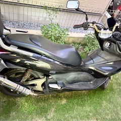 PCX jf28 の画像