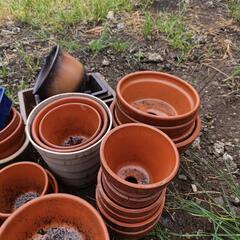 お取引内定者決定しました　無料でお譲り致します。陶器製のみ植木鉢他 引取お願い致します。全部持ち帰る方のみの画像