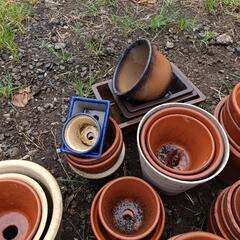 お取引内定者決定しました　無料でお譲り致します。陶器製のみ植木鉢他 引取お願い致します。全部持ち帰る方のみの画像