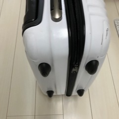 キャリーバッグの画像