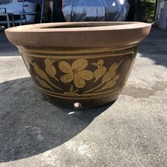 水鉢 メダカ 水草の画像