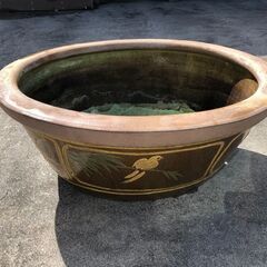 水鉢 メダカ 水草の画像