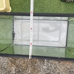 ６０センチ水槽
の画像