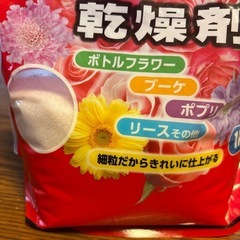 ドライフラワー用乾燥剤の画像