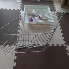 鳥かごの画像