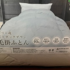 【譲り先仮決定】シングル　羽毛布団の画像