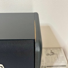 BOSE 301 AVMの画像