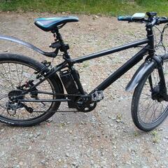 ペルテック電動アシスト自転車の画像