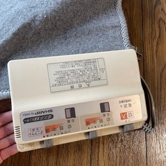 電気カーペットの画像