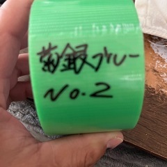 (伊勢宮メダカ) 菊銀ブルーオス２匹メス３匹　菊間メダカ直系の画像