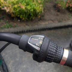 ビーチクルーザー　自転車　グリーンの画像