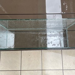 60センチスリム水槽の画像