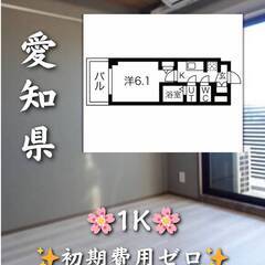 初期費用ゼロ　愛知県名古屋市　家賃58200円　ペット相談…