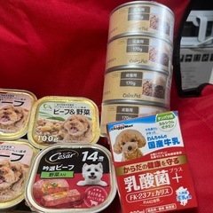 犬のご飯等の画像