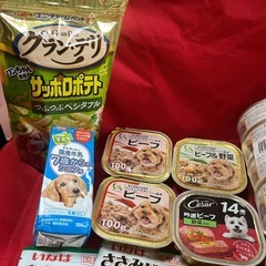 犬のご飯等の画像