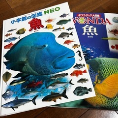 危険生物・恐竜などの図鑑６冊セットの画像
