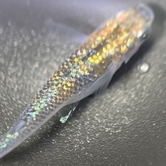 (伊勢宮メダカ)大虹５匹の画像