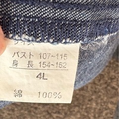 ジャンパースカート（4L）の画像