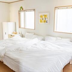 【使用頻度少】2点セット ニトリ温度調整 掛け布団ダブルの画像