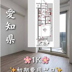 初期費用ゼロ　愛知県名古屋市　家賃60500円　ペット相談可