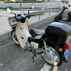 極上車　2025年式　スーパーカブ110 JA59  の画像
