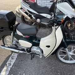 極上車　2025年式　スーパーカブ110 JA59  の画像