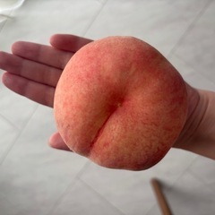 もも(商談中)の画像