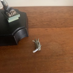 早い者勝ちの画像
