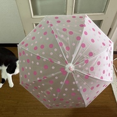 女児用傘4本セットの画像