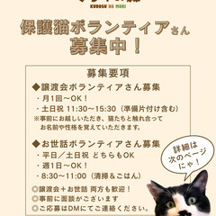 保護猫ボランティアさん募集中！