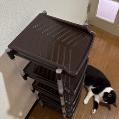シューズラックの画像