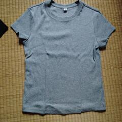 GUリブＴシャツの画像