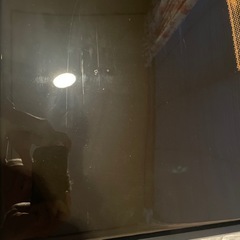 シェーンボーデンサイン入　ピストル　ニューヨークギャラリー　　　