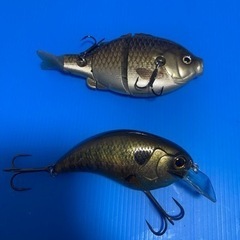 デプス　イヴォーク4.0 バサロスイマーの画像