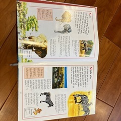 動物百科事典（ベトナム語） ／Bách khoa toàn thư về động vật (bằng tiếng Việt)の画像