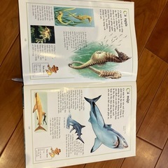 動物百科事典（ベトナム語） ／Bách khoa toàn thư về động vật (bằng tiếng Việt)の画像