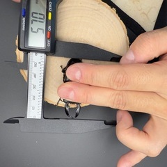 パラワンオオヒラタクワガタの販売の画像