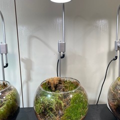 水槽とledの画像