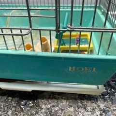 8/12.AMまで　鳥かごの画像